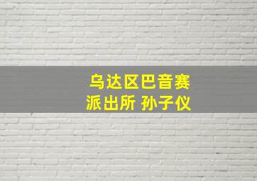 乌达区巴音赛派出所 孙子仪